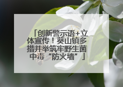 创新警示语+立体宣传！葵山镇多措并举筑牢野生菌中毒“防火墙”