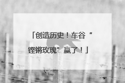 创造历史！车谷“铿锵玫瑰”赢了！