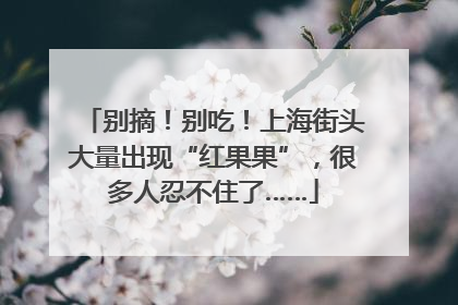 别摘！别吃！上海街头大量出现“红果果”，很多人忍不住了……