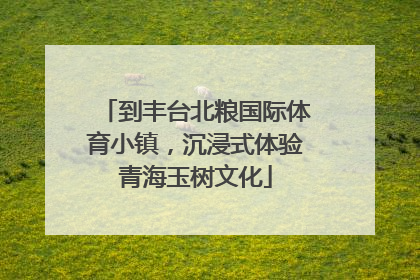 到丰台北粮国际体育小镇，沉浸式体验青海玉树文化