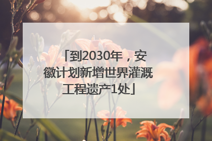 到2030年，安徽计划新增世界灌溉工程遗产1处