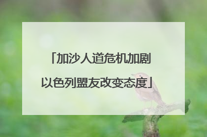 加沙人道危机加剧 以色列盟友改变态度