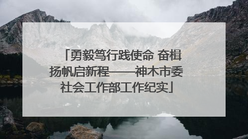 勇毅笃行践使命 奋楫扬帆启新程——神木市委社会工作部工作纪实