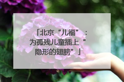 北京“儿福”：为孤残儿童插上“隐形的翅膀”