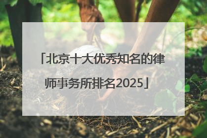 北京十大优秀知名的律师事务所排名2025