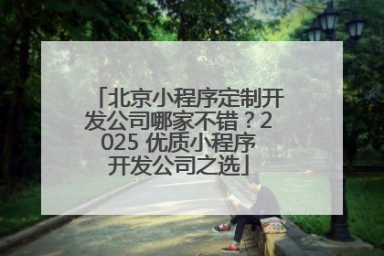 北京小程序定制开发公司哪家不错？2025 优质小程序开发公司之选