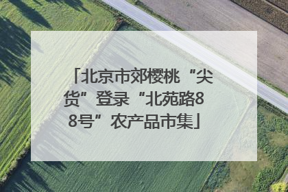 北京市郊樱桃“尖货”登录“北苑路88号”农产品市集