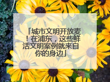 城市文明开放麦！在浦东，这些鲜活文明案例就来自你的身边