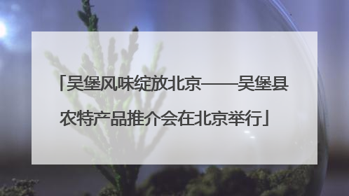 吴堡风味绽放北京——吴堡县农特产品推介会在北京举行