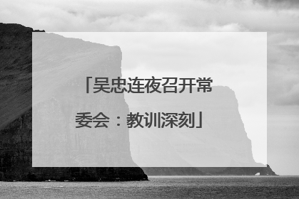 吴忠连夜召开常委会：教训深刻
