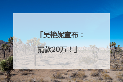 吴艳妮宣布：捐款20万！