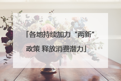 各地持续加力“两新”政策 释放消费潜力