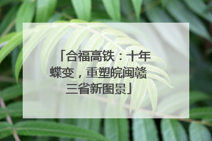 合福高铁：十年蝶变，重塑皖闽赣三省新图景