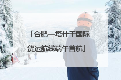 合肥—塔什干国际货运航线端午首航