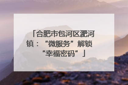 合肥市包河区淝河镇：“微服务”解锁“幸福密码”