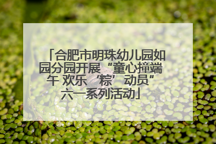 合肥市明珠幼儿园如园分园开展“童心撞端午 欢乐‘粽’动员”六一系列活动