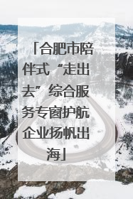合肥市陪伴式“走出去”综合服务专窗护航企业扬帆出海