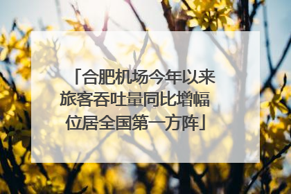 合肥机场今年以来旅客吞吐量同比增幅位居全国第一方阵