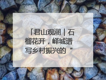 君山观潮｜石榴花开，峄城谱写乡村振兴的“新”篇章