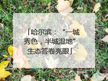 哈尔滨：“一城秀色，半城湿地”生态答卷亮眼