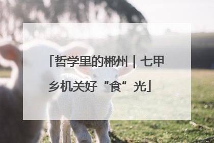 哲学里的郴州｜七甲乡机关好“食”光
