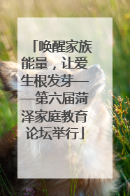 唤醒家族能量，让爱生根发芽——第六届菏泽家庭教育论坛举行