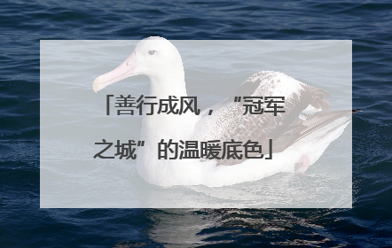 善行成风，“冠军之城”的温暖底色