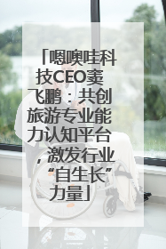 嗯噢哇科技CEO窦飞鹏：共创旅游专业能力认知平台，激发行业“自生长”力量