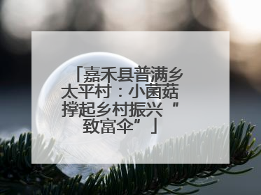 嘉禾县普满乡太平村：小菌菇撑起乡村振兴“致富伞”