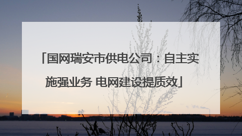 国网瑞安市供电公司：自主实施强业务 电网建设提质效