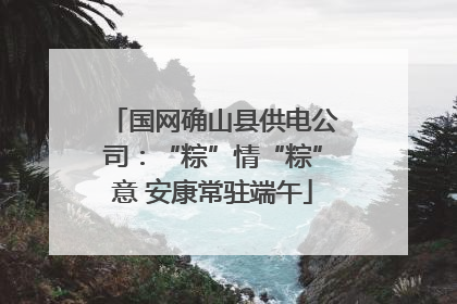 国网确山县供电公司：“粽”情“粽”意 安康常驻端午