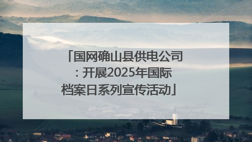 国网确山县供电公司：开展2025年国际档案日系列宣传活动