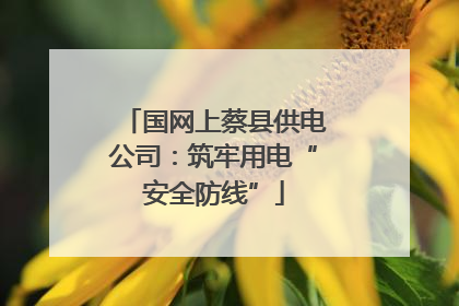 国网上蔡县供电公司：筑牢用电“安全防线”