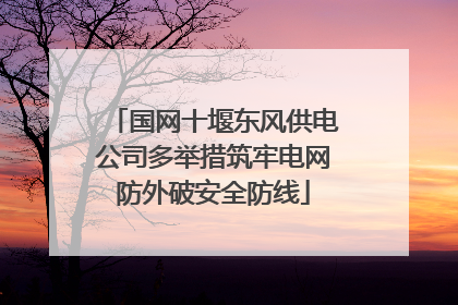 国网十堰东风供电公司多举措筑牢电网防外破安全防线