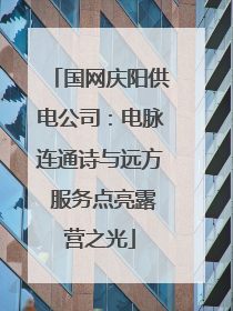 国网庆阳供电公司：电脉连通诗与远方 服务点亮露营之光