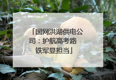 国网洪湖供电公司：护航高考路 铁军显担当