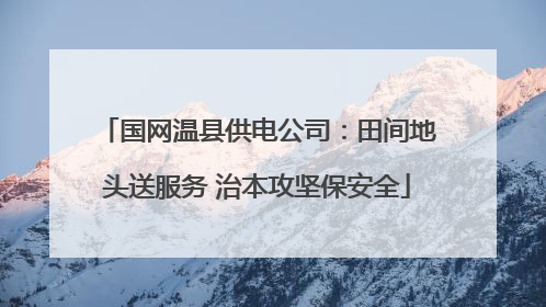 国网温县供电公司：田间地头送服务 治本攻坚保安全