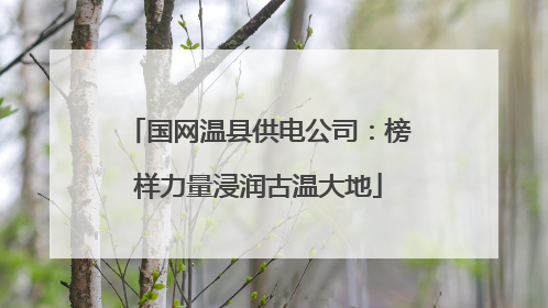 国网温县供电公司：榜样力量浸润古温大地