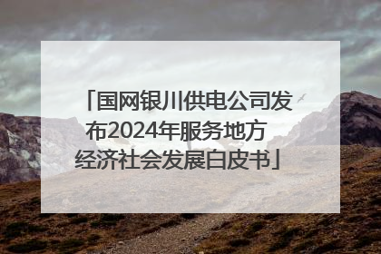 国网银川供电公司发布2024年服务地方经济社会发展白皮书