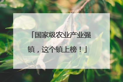 国家级农业产业强镇，这个镇上榜！