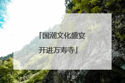 国潮文化盛宴开进万寿寺