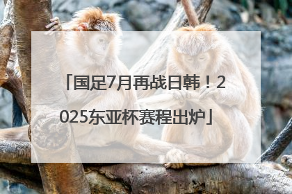 国足7月再战日韩！2025东亚杯赛程出炉