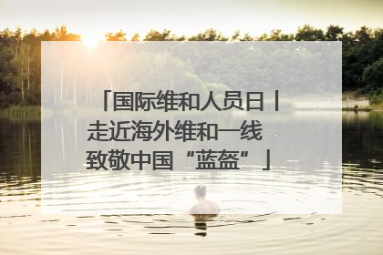 国际维和人员日丨走近海外维和一线 致敬中国“蓝盔”