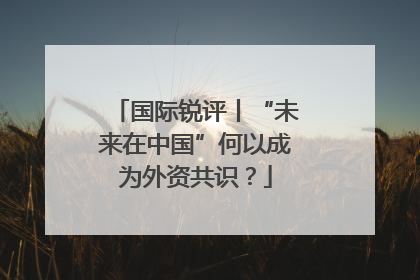 国际锐评丨“未来在中国”何以成为外资共识？