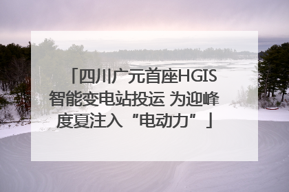 四川广元首座HGIS智能变电站投运 为迎峰度夏注入“电动力”