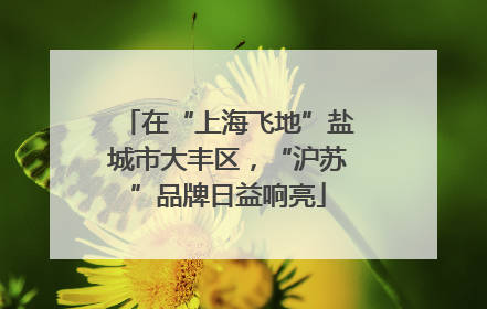 在“上海飞地”盐城市大丰区，“沪苏”品牌日益响亮