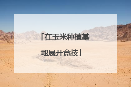 在玉米种植基地展开竞技