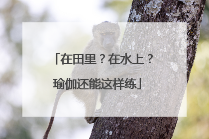 在田里？在水上？瑜伽还能这样练
