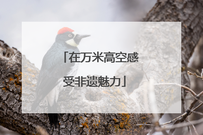 在万米高空感受非遗魅力