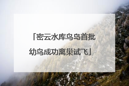 密云水库鸟岛首批幼鸟成功离巢试飞